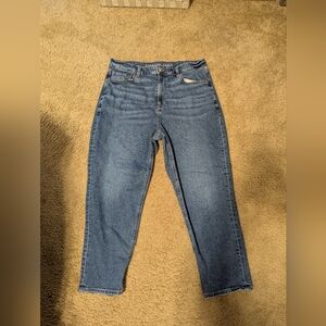 American Eagle Mom Jeans Size 14 Short